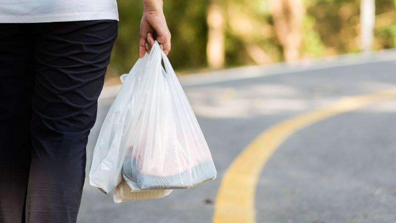 Política Nacional de Desplastificação: impactos, desafios e oportunidades para o Brasil sustentável