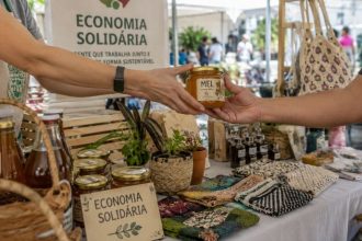 Política Municipal de Fomento à Economia Solidária em Blumenau: impacto social e novo modelo de desenvolvimento local