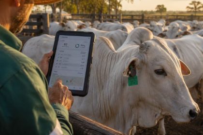 Rastreamento de gado com tecnologia no Tocantins: inovação que transforma a pecuária e aumenta a segurança no campo