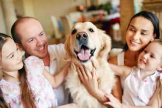 O Papel dos Cães de Assistência Médica no Diagnóstico Precoce e no Suporte à Saúde Humana