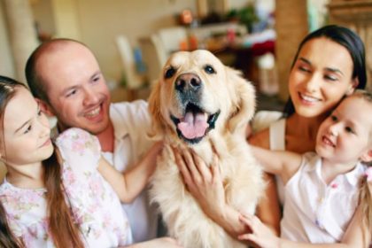 O Papel dos Cães de Assistência Médica no Diagnóstico Precoce e no Suporte à Saúde Humana