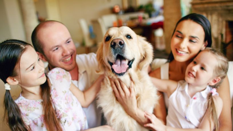 O Papel dos Cães de Assistência Médica no Diagnóstico Precoce e no Suporte à Saúde Humana